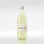 Le Schorle Citron fringuant (Citron - Gingembre) 1L