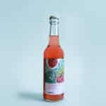 Penrose - Kombucha Thé vert sencha / Framboise / Menthe