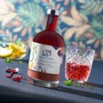 Ginger & Ginger - Concentré Gingembre & Hibiscus – Image 2