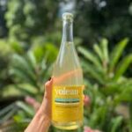 Yoleau - Spritz Fleur de Sureau