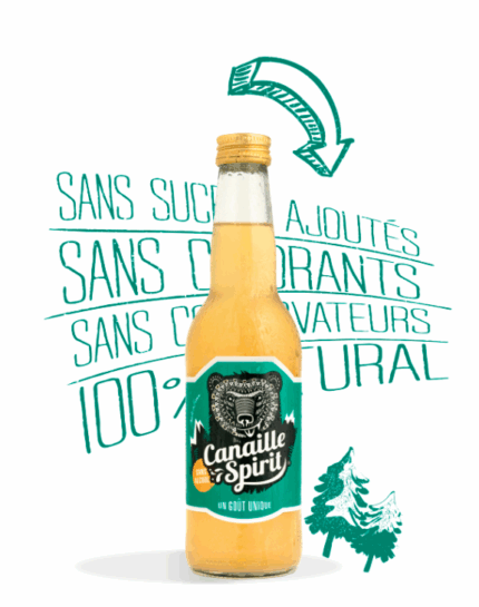 Canailles Ginger Bio (33cl)