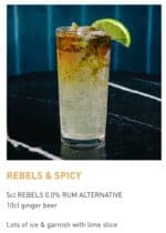 Rebels - Dark Spice - R. sans alcool 0.0% – Image 4