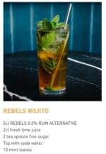 Rebels - Dark Spice - R. sans alcool 0.0% – Image 2