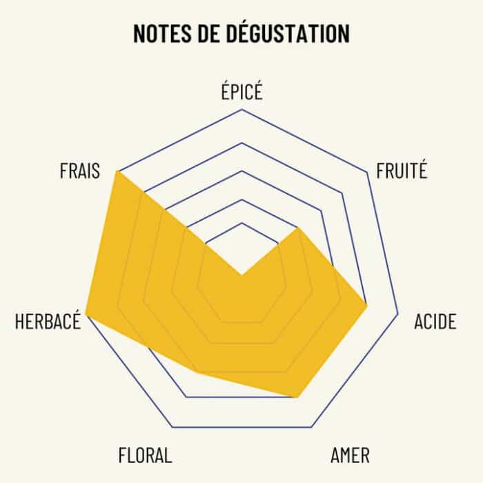 Osco - L'original (frais, aromatique et amer) – Image 2