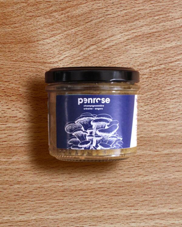 Penrose - Tartinade de pleurotes curry & haricot mungo – Image 1