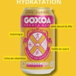 Goxoa – Sports Beer Pale Ale Sans Alcool (can) - Bières de récupération