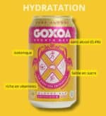 Goxoa – Sports Beer Pale Ale Sans Alcool (can) - Bières de récupération