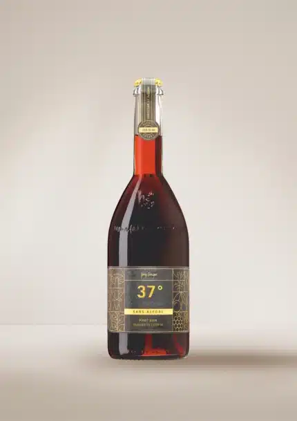 Maison Geiger – 37° – Pinot Noir, Framboise & Cerise - Boissons effervescentes