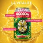 Goxoa – Sports Beer Blanche Citron 0.0% (can) - Bières de récupération